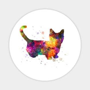 Munchkin cat in watercolor Magnet
